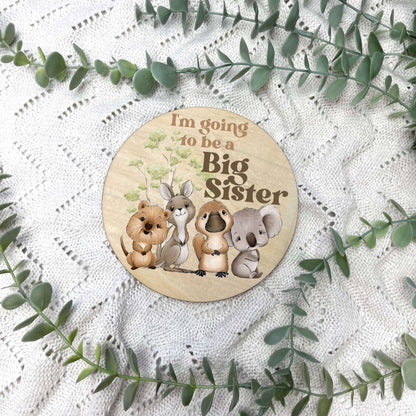 Aussie Animals newborn milestone discs, baby milestones, Aussie Animals, koala, kangaroo, kookaburra