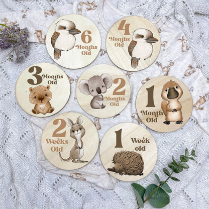 Aussie Animals newborn milestone discs, baby milestones, Aussie Animals, koala, kangaroo, kookaburra